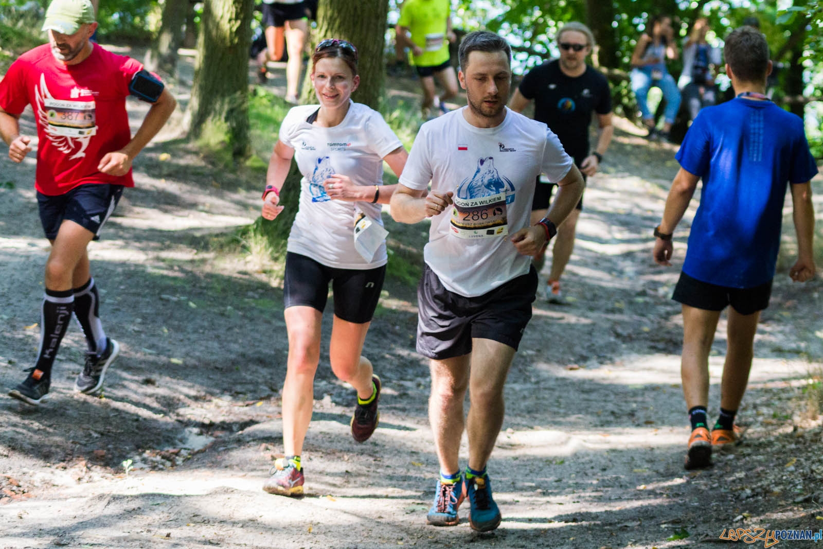 Pogoń za Wilkiem Foto: lepszyPOZNAN.pl / Ewelina Jaśkowiak Pogoń za Wilkiem Foto: lepszyPOZNAN.pl / Ewelina Jaśkowiak