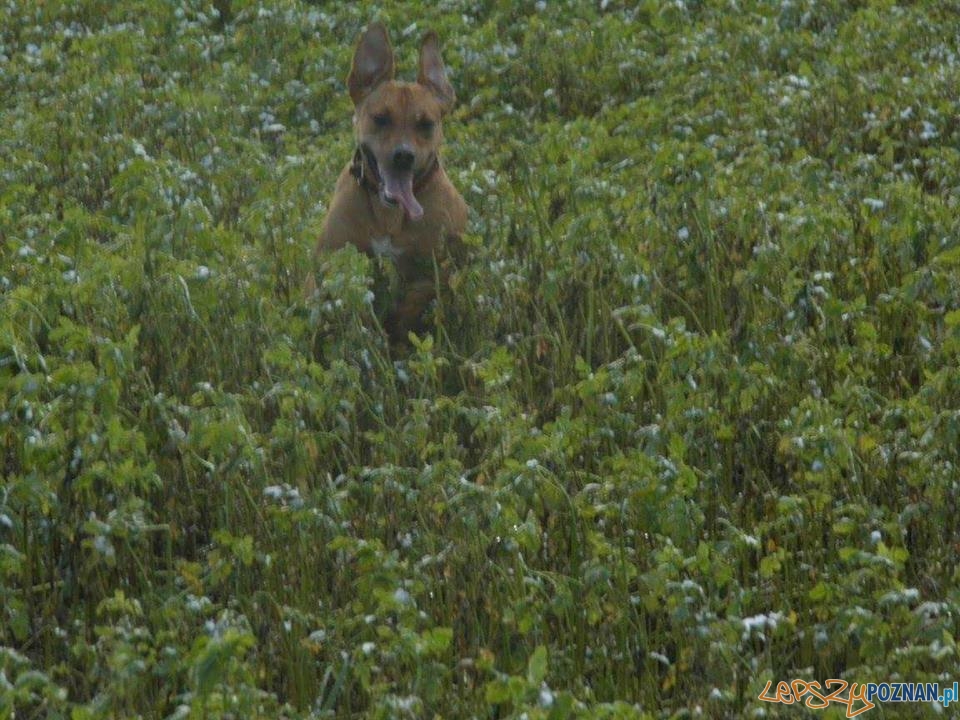 Sławomir Zawada Foto: Sławomir Zawada Foto:
