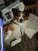 Ha Buś Foto: Ha Buś Foto: