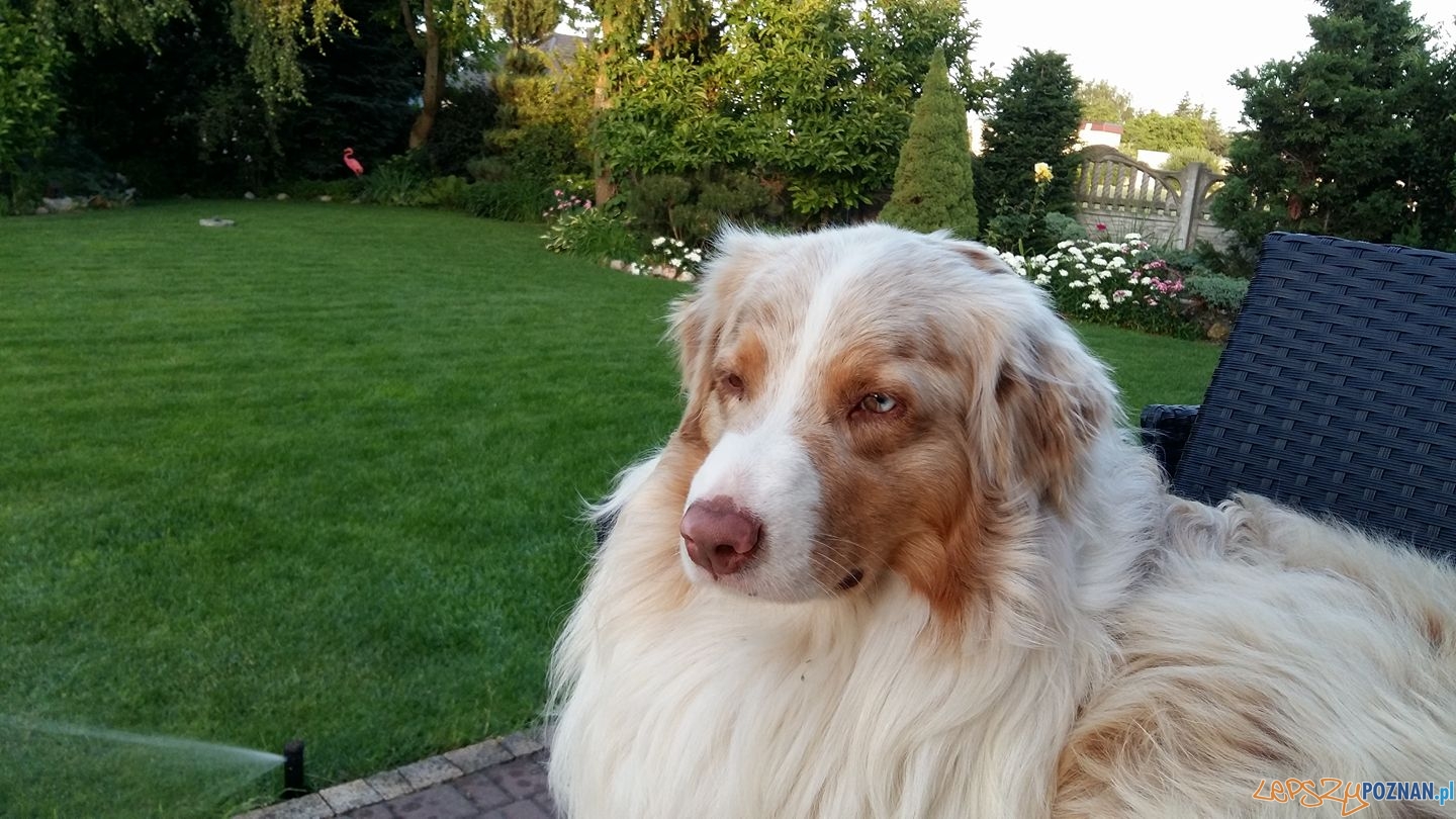 Magdalena Sołtysiak Foto: Magdalena Sołtysiak Foto: