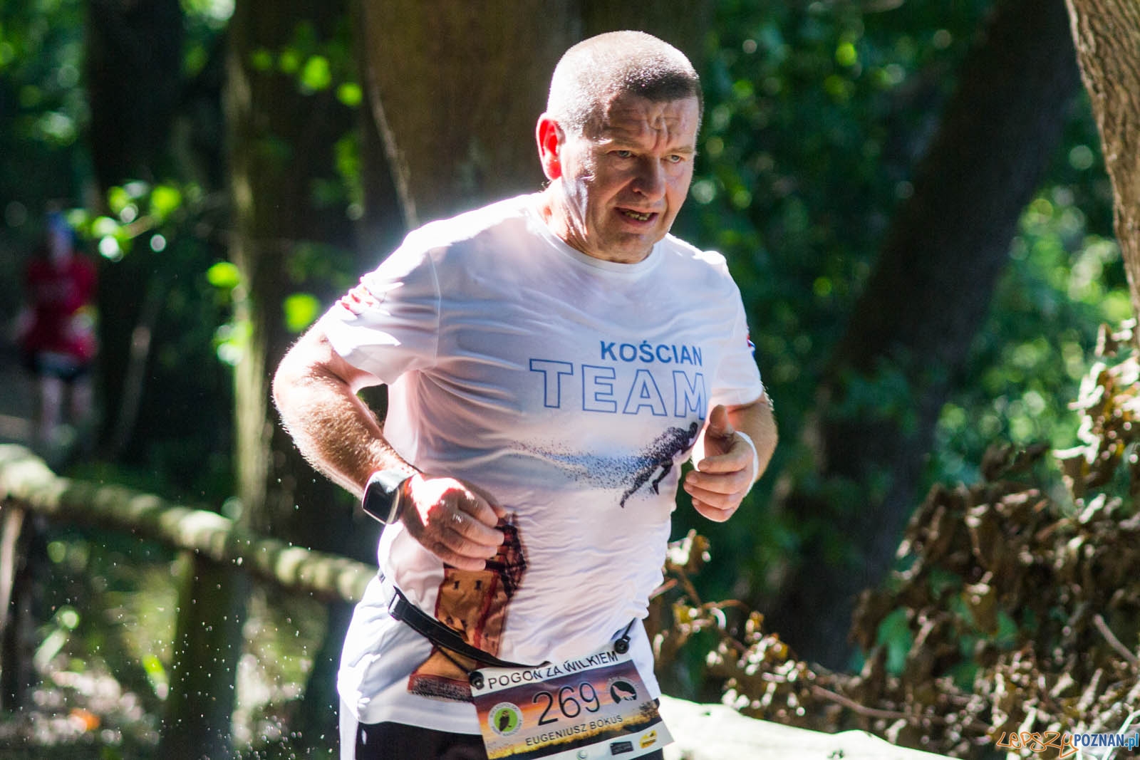 Pogoń za Wilkiem Foto: lepszyPOZNAN.pl / Ewelina Jaśkowiak Pogoń za Wilkiem Foto: lepszyPOZNAN.pl / Ewelina Jaśkowiak