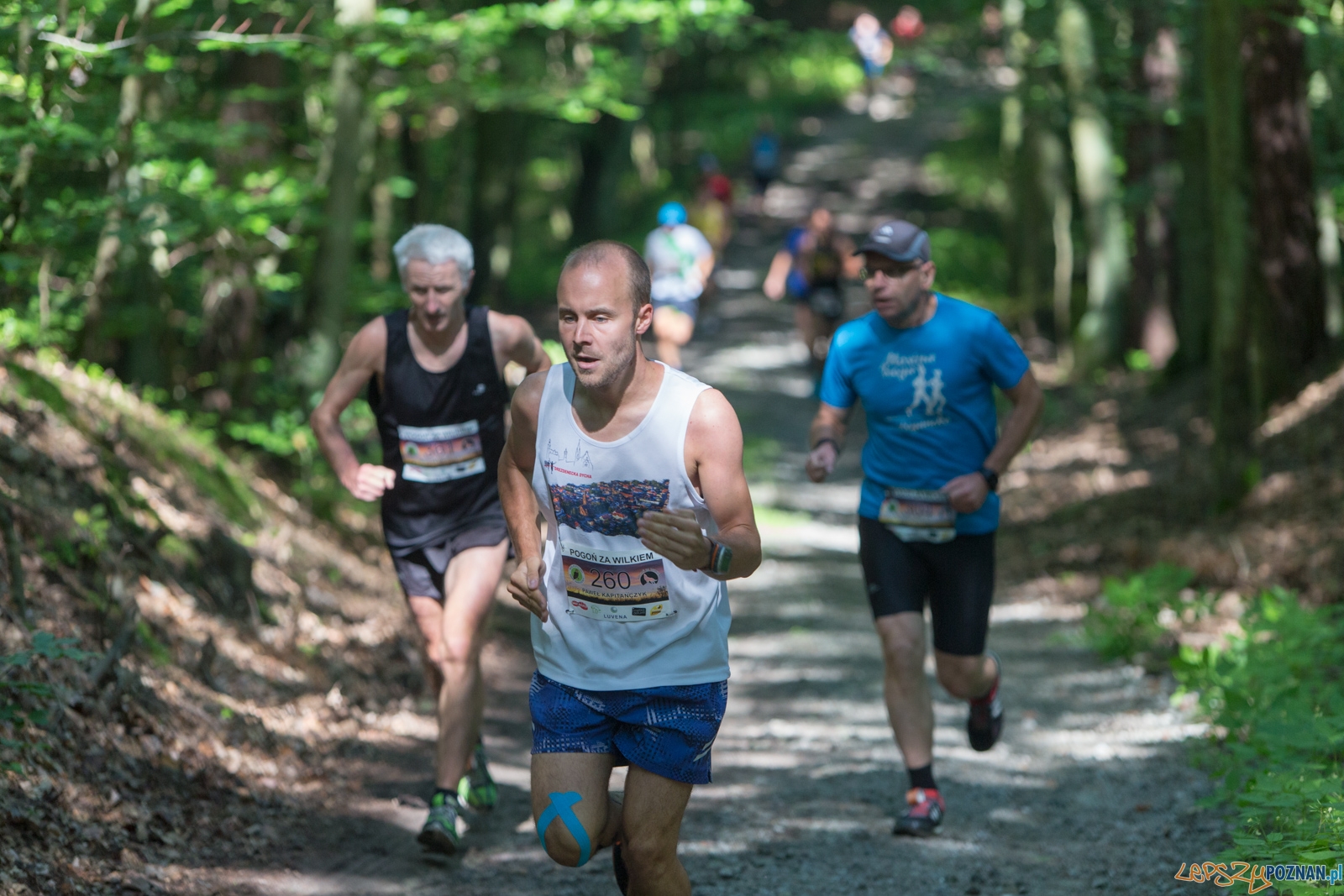 Pogoń za Wilkiem 2017 Foto: lepszyPOZNAN.pl/Piotr Rychter Pogoń za Wilkiem 2017 Foto: lepszyPOZNAN.pl/Piotr Rychter