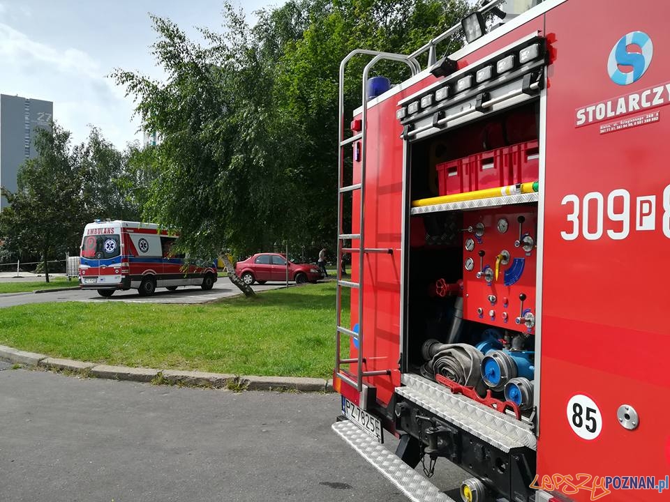 Pożar w kuchni Foto: OSP Suchy Las Pożar w kuchni Foto: OSP Suchy Las