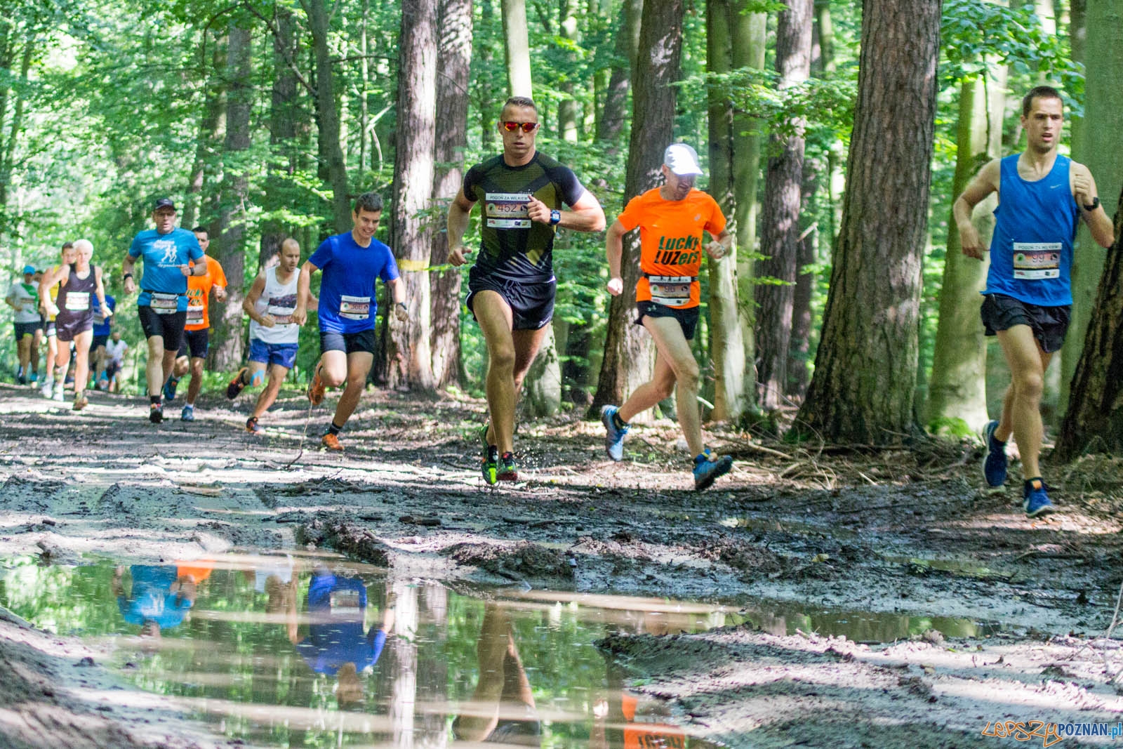 Pogoń za Wilkiem Foto: lepszyPOZNAN.pl / Ewelina Jaśkowiak Pogoń za Wilkiem Foto: lepszyPOZNAN.pl / Ewelina Jaśkowiak