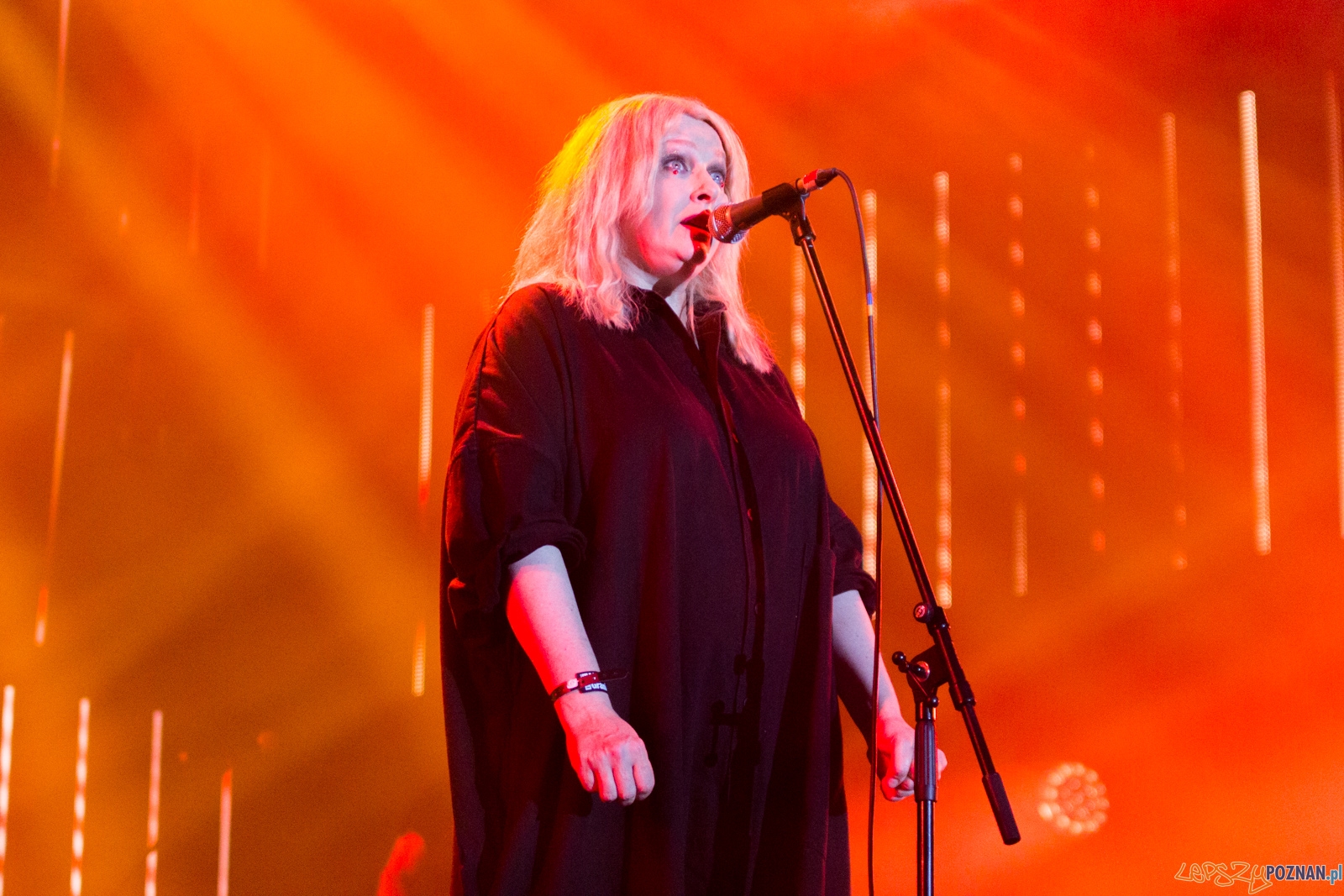 Męskie Granie 2017 Foto: lepszyPOZNAN.pl / Ewelina Jaśkowiak Męskie Granie 2017 Foto: lepszyPOZNAN.pl / Ewelina Jaśkowiak