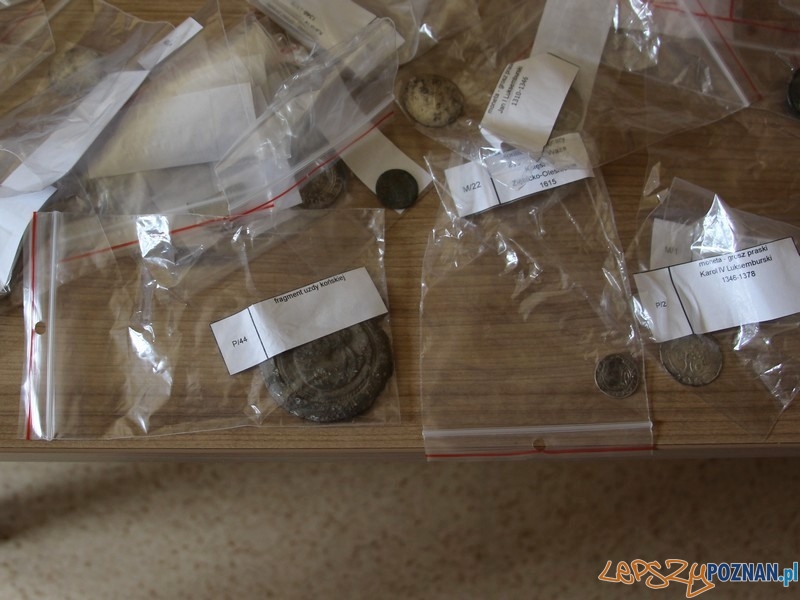 Monety znalezione podczas nielegalnych wykopalisk Foto: Policja Poznań Monety znalezione podczas nielegalnych wykopalisk Foto: Policja Poznań