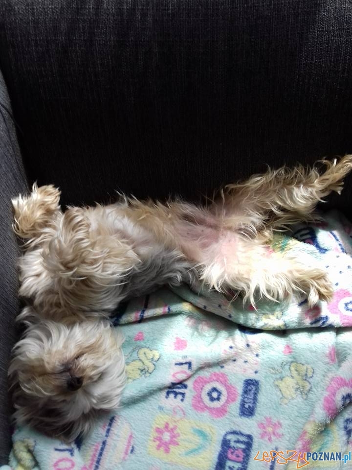 Adrian Pawlak Dziś rano Foto: Adrian Pawlak Dziś rano Foto: