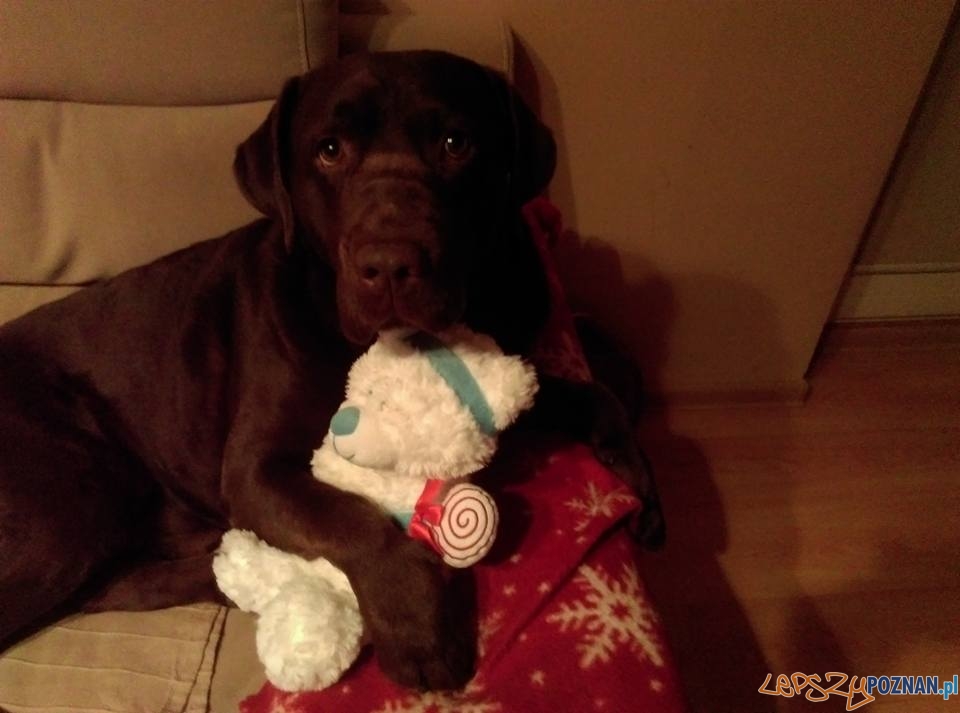 Nitka Paziewska Rabciu Foto: Nitka Paziewska Rabciu Foto: