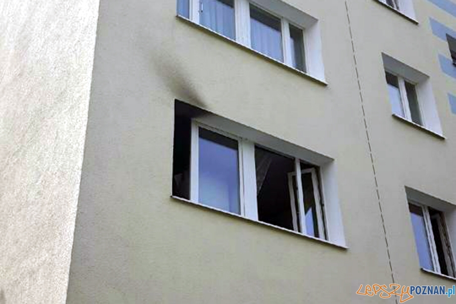 Pożar w kuchni Foto: OSP Suchy Las Pożar w kuchni Foto: OSP Suchy Las