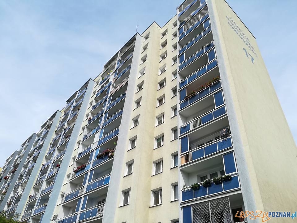 Pożar w kuchni Foto: OSP Suchy Las Pożar w kuchni Foto: OSP Suchy Las