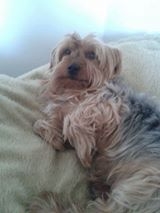 Magdalena Majkut Franuś lat 7 Foto: Magdalena Majkut Franuś lat 7 Foto: