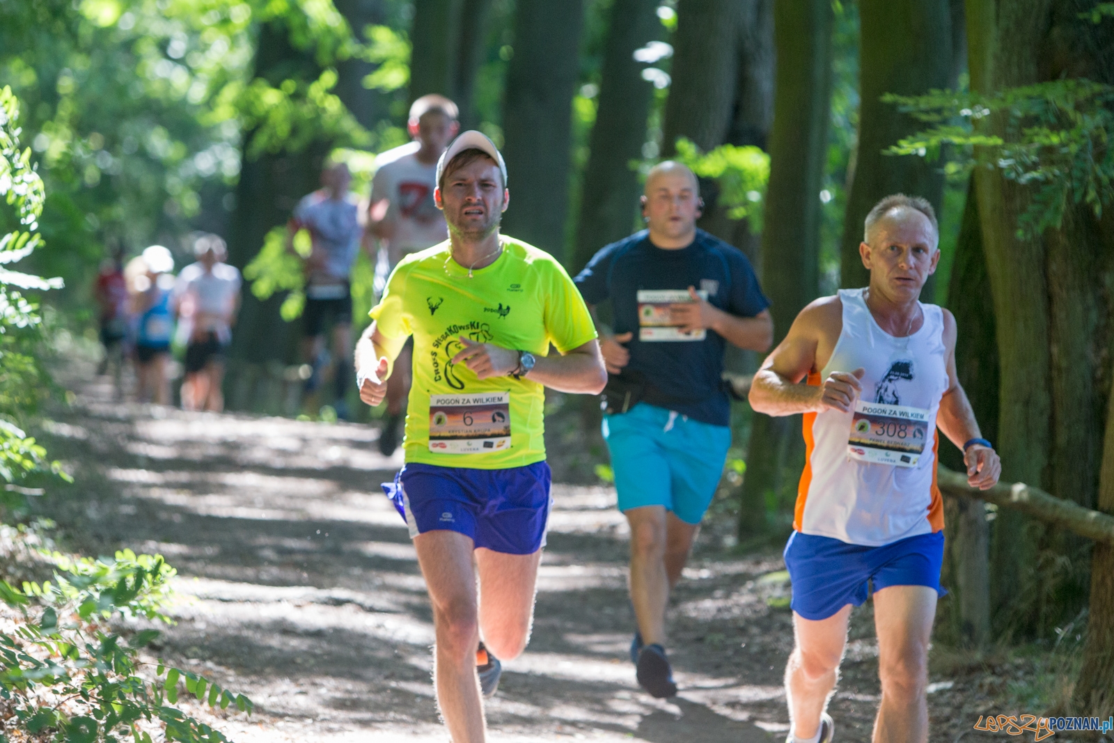 Pogoń za Wilkiem 2017 Foto: lepszyPOZNAN.pl/Piotr Rychter Pogoń za Wilkiem 2017 Foto: lepszyPOZNAN.pl/Piotr Rychter