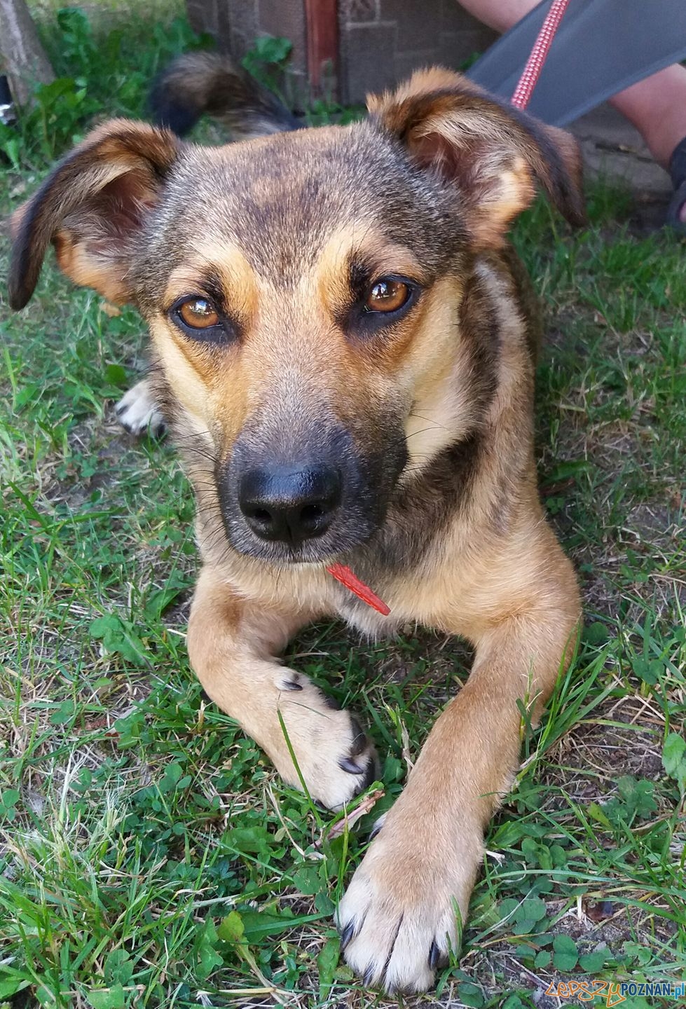 Anita Kubalewska-Dziurdzi - Melcia Foto: Anita Kubalewska-Dziurdzi - Melcia Foto: