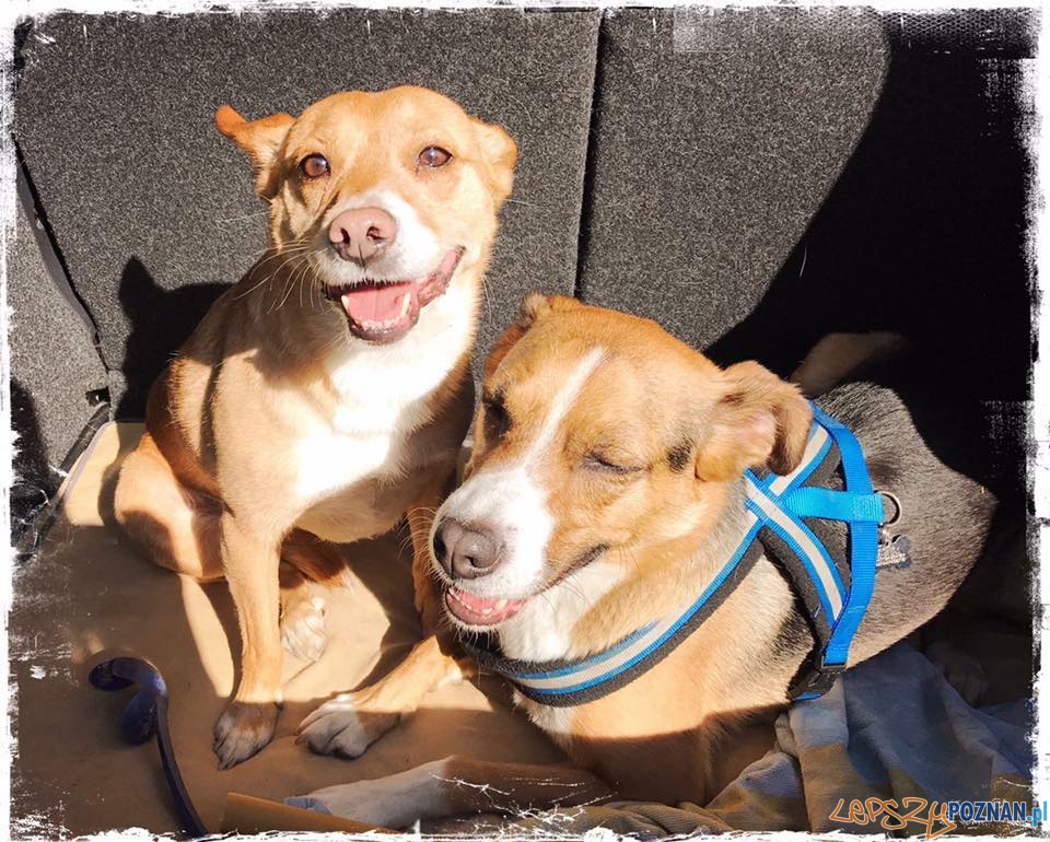 Alicja Pokrzycka Tutaj są po kilku godzinnej wędrówce po gorach Foto: Alicja Pokrzycka Tutaj są po kilku godzinnej wędrówce po gorach Foto: