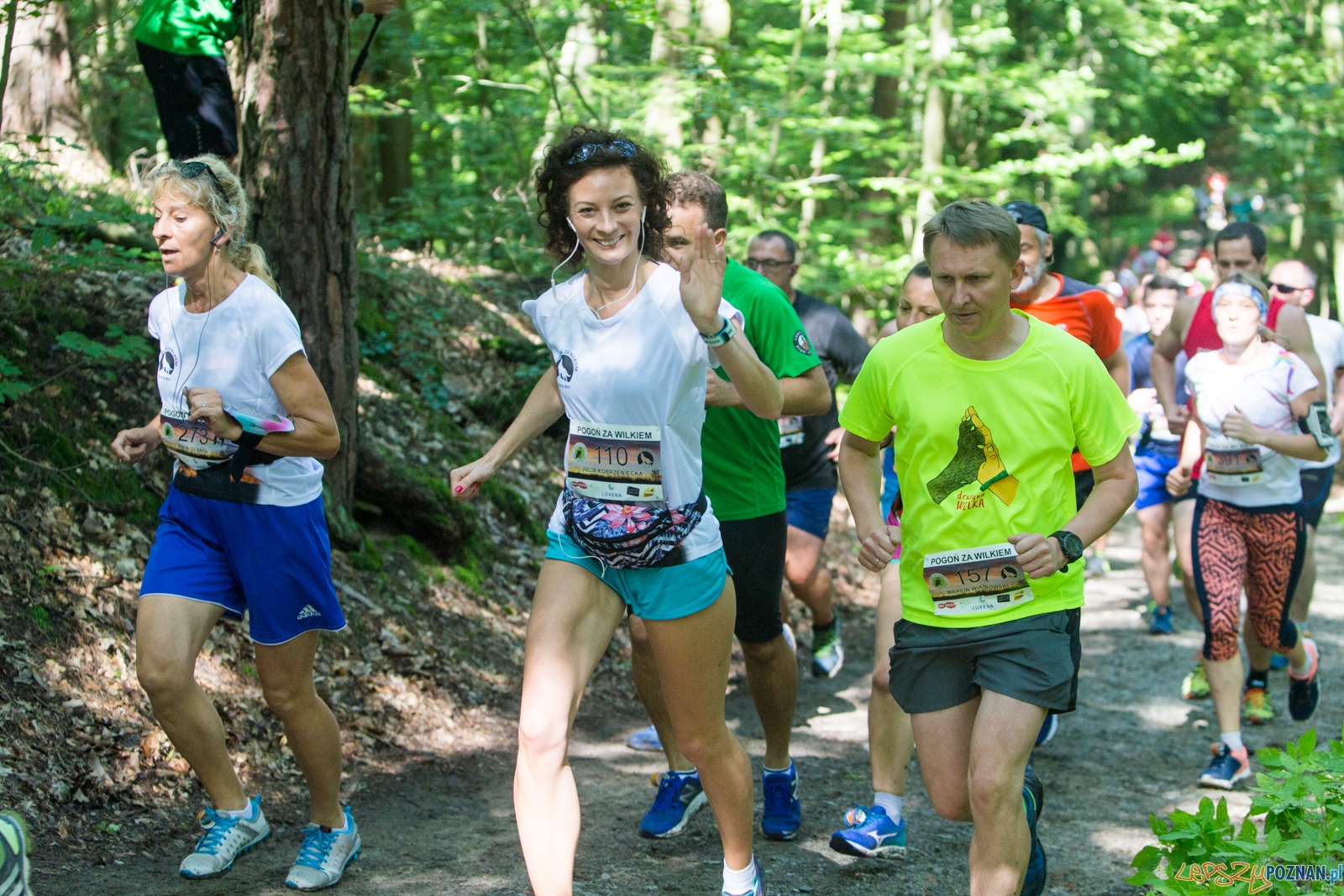 Pogoń za Wilkiem 2017 Foto: lepszyPOZNAN.pl/Piotr Rychter Pogoń za Wilkiem 2017 Foto: lepszyPOZNAN.pl/Piotr Rychter