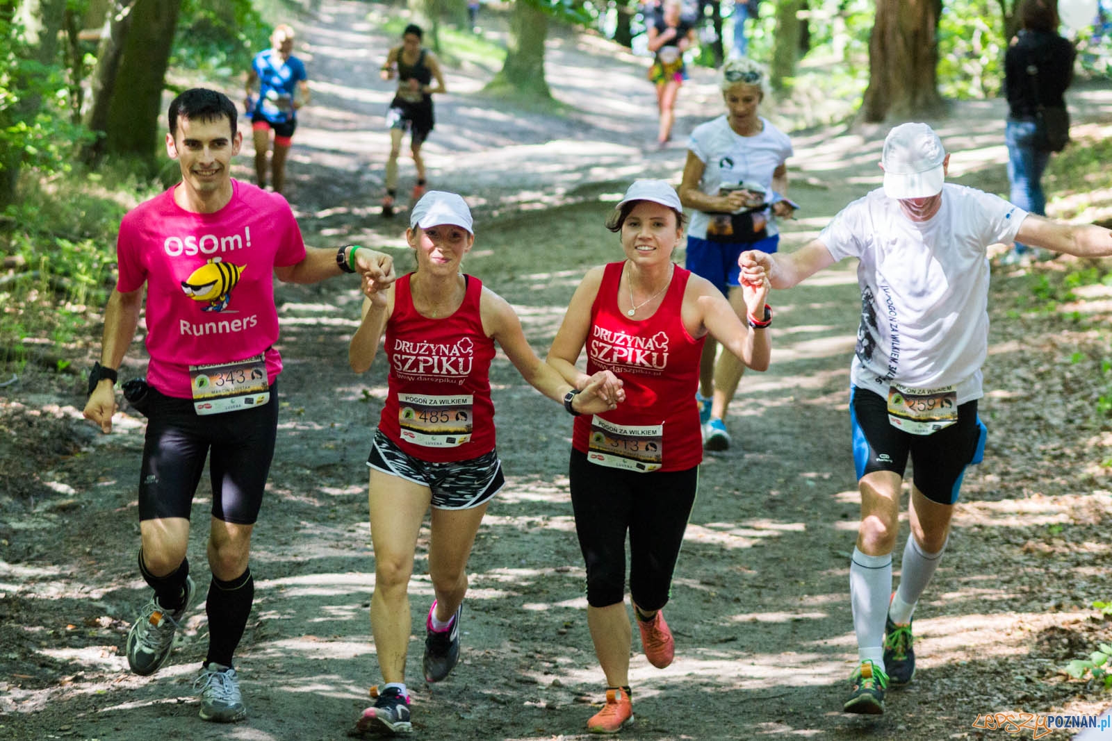 Pogoń za Wilkiem Foto: lepszyPOZNAN.pl / Ewelina Jaśkowiak Pogoń za Wilkiem Foto: lepszyPOZNAN.pl / Ewelina Jaśkowiak