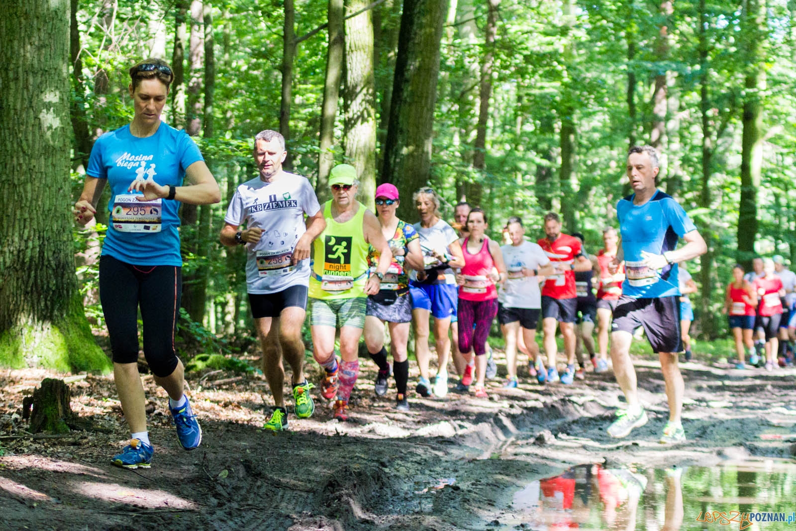 Pogoń za Wilkiem Foto: lepszyPOZNAN.pl / Ewelina Jaśkowiak Pogoń za Wilkiem Foto: lepszyPOZNAN.pl / Ewelina Jaśkowiak