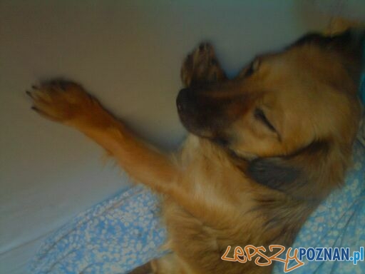 Donata Hyla Foto: Donata Hyla Foto: