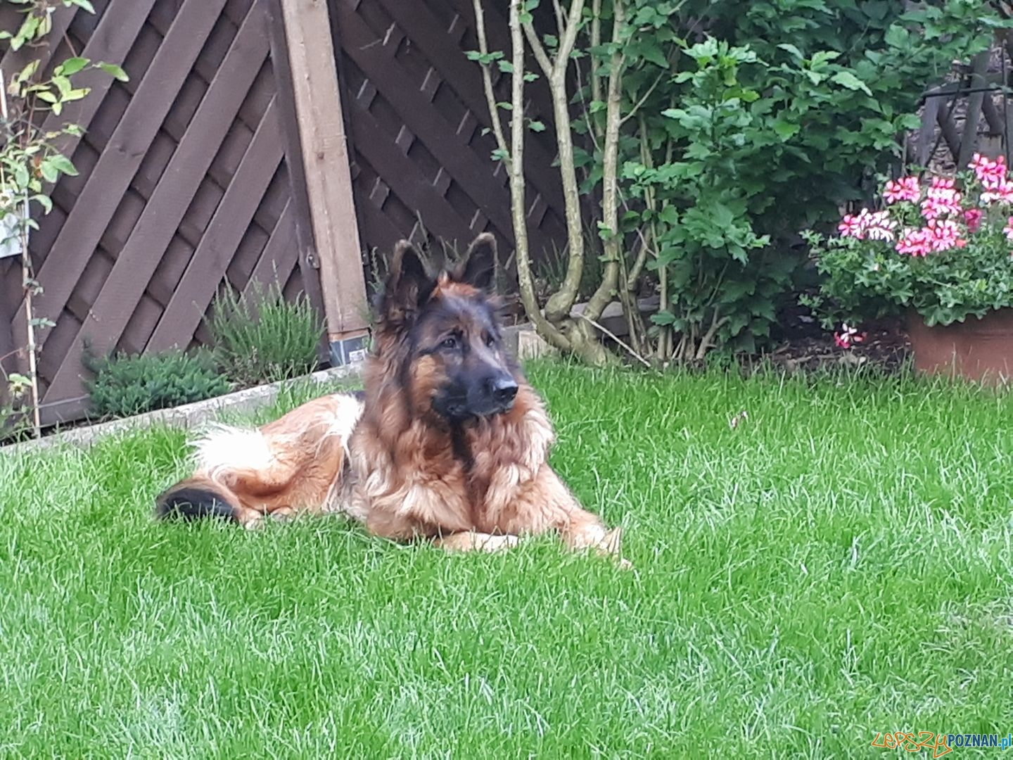 Karolina Luzniak Foto: Karolina Luzniak Foto: