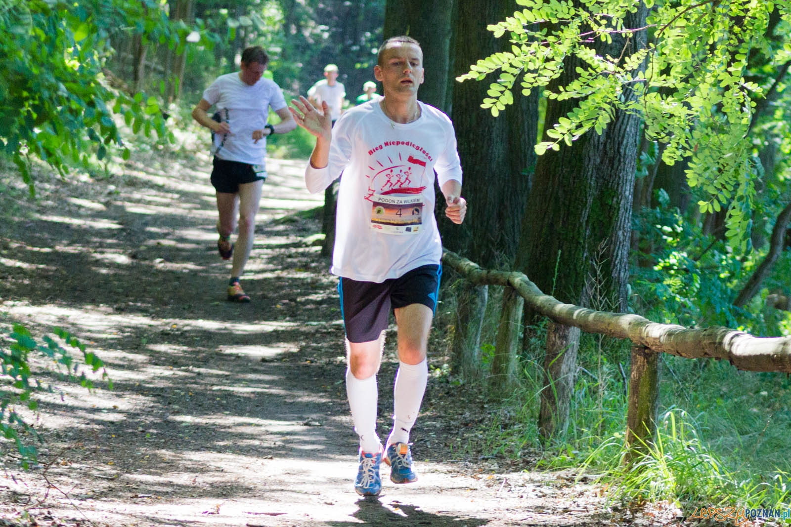Pogoń za Wilkiem Foto: lepszyPOZNAN.pl / Ewelina Jaśkowiak Pogoń za Wilkiem Foto: lepszyPOZNAN.pl / Ewelina Jaśkowiak