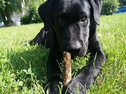 Adrianna Stachowiak Foto: Adrianna Stachowiak Foto: