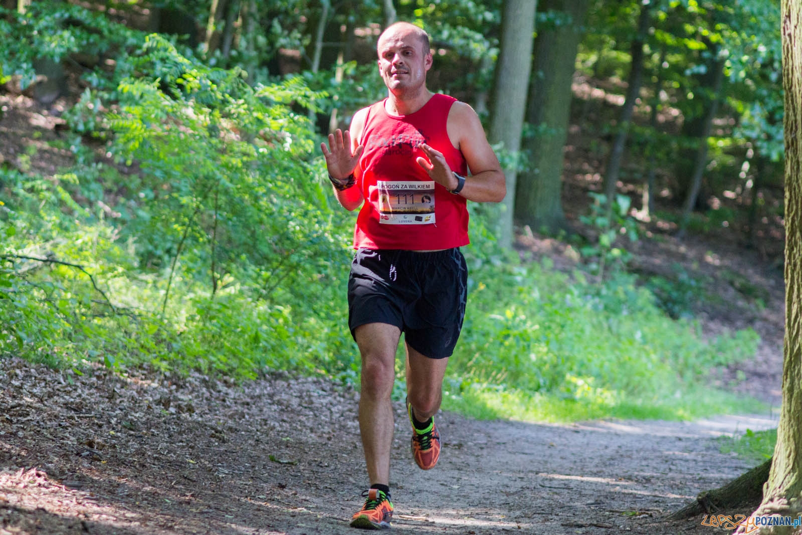 Pogoń za Wilkiem Foto: lepszyPOZNAN.pl / Ewelina Jaśkowiak Pogoń za Wilkiem Foto: lepszyPOZNAN.pl / Ewelina Jaśkowiak