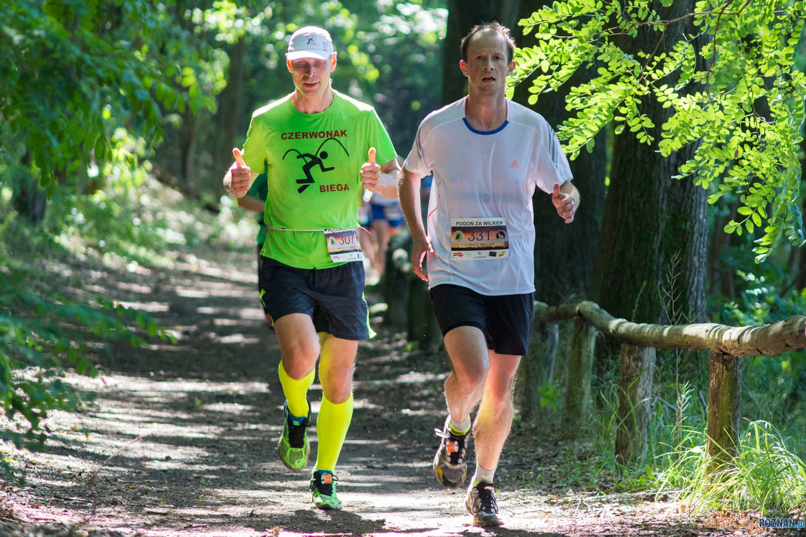 Pogoń za Wilkiem Foto: lepszyPOZNAN.pl / Ewelina Jaśkowiak Pogoń za Wilkiem Foto: lepszyPOZNAN.pl / Ewelina Jaśkowiak