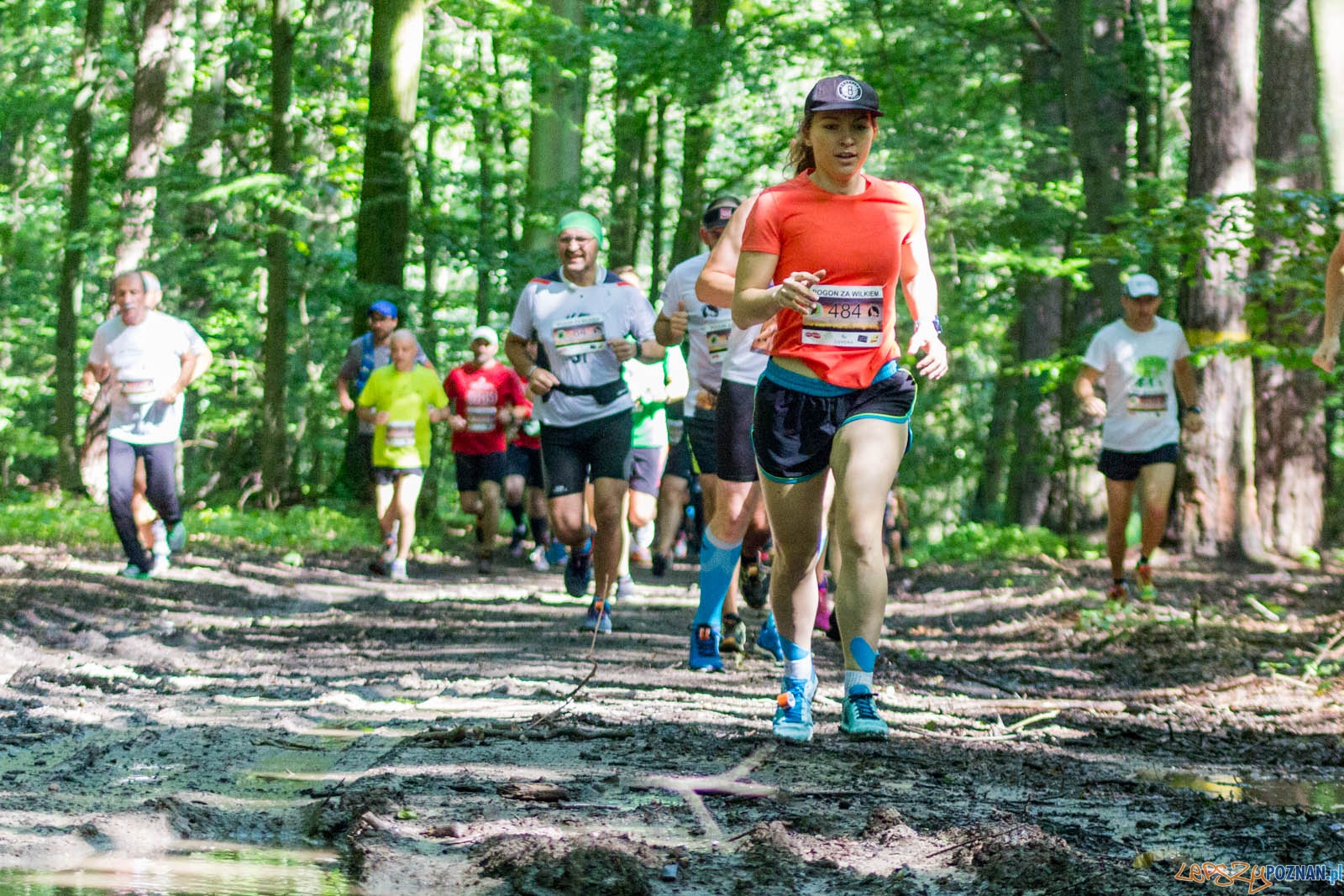 Pogoń za Wilkiem Foto: lepszyPOZNAN.pl / Ewelina Jaśkowiak Pogoń za Wilkiem Foto: lepszyPOZNAN.pl / Ewelina Jaśkowiak