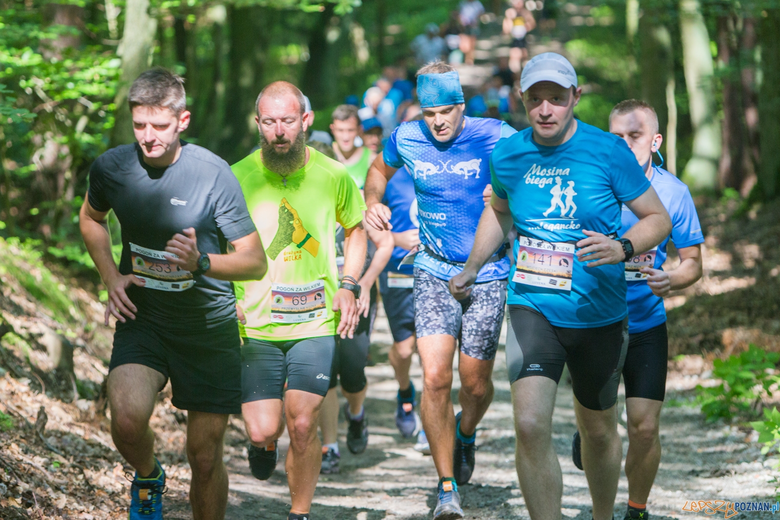 Pogoń za Wilkiem 2017 Foto: lepszyPOZNAN.pl/Piotr Rychter Pogoń za Wilkiem 2017 Foto: lepszyPOZNAN.pl/Piotr Rychter