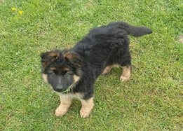 Agnieszka Wrona luna Foto: Agnieszka Wrona luna Foto: