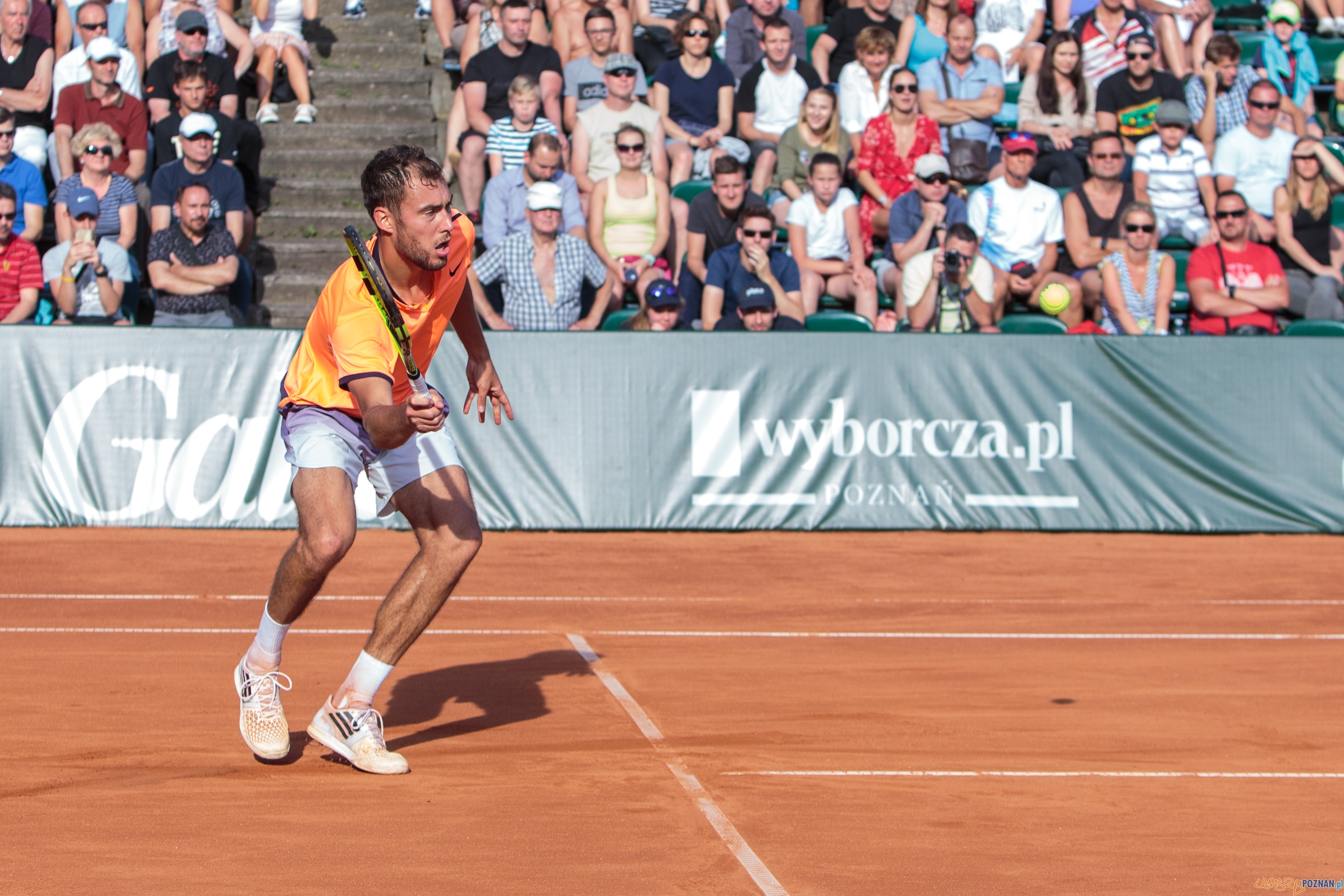 Jaume Munar (ESP) vs Jerzy Janowicz (POL) - Poznań Open 2017 - Foto: Pawel Rychter Jaume Munar (ESP) vs Jerzy Janowicz (POL) - Poznań Open 2017 - Foto: Pawel Rychter