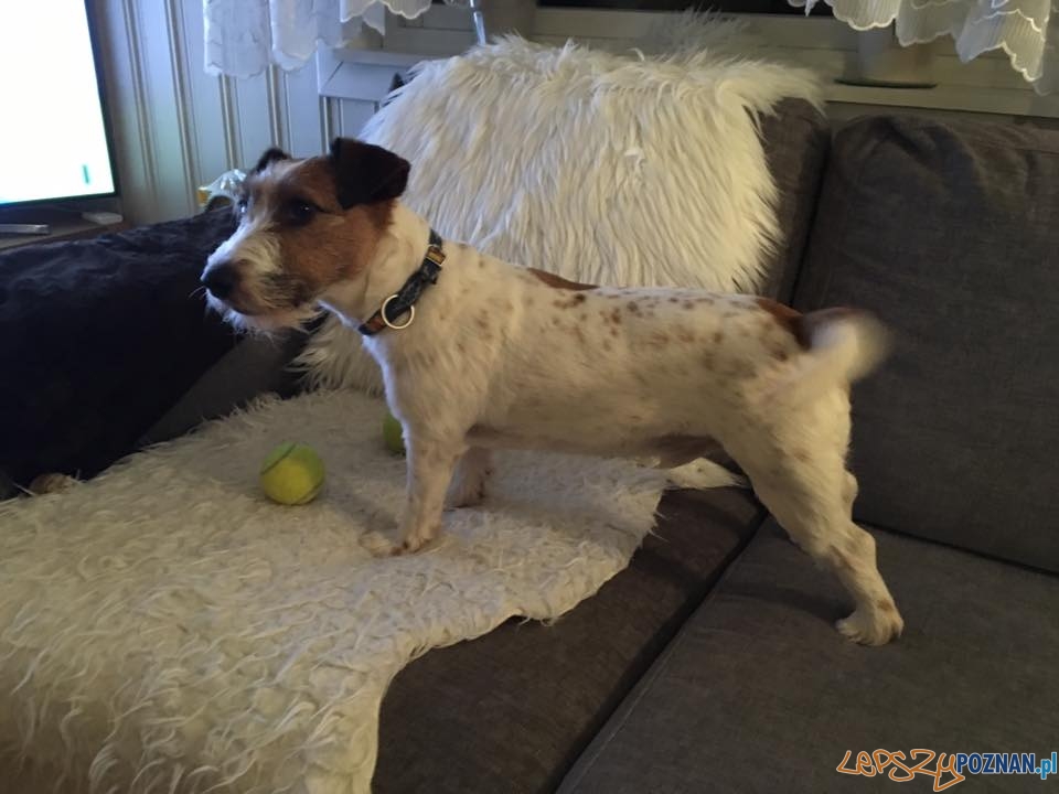 Rafal Rafal Jacek Foto: Rafal Rafal Jacek Foto: