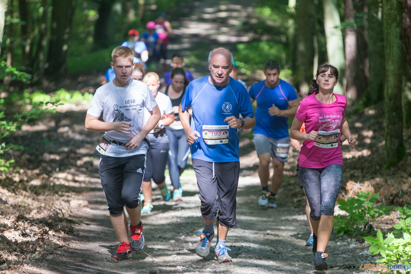 Pogoń za Wilkiem 2017 Foto: lepszyPOZNAN.pl/Piotr Rychter Pogoń za Wilkiem 2017 Foto: lepszyPOZNAN.pl/Piotr Rychter