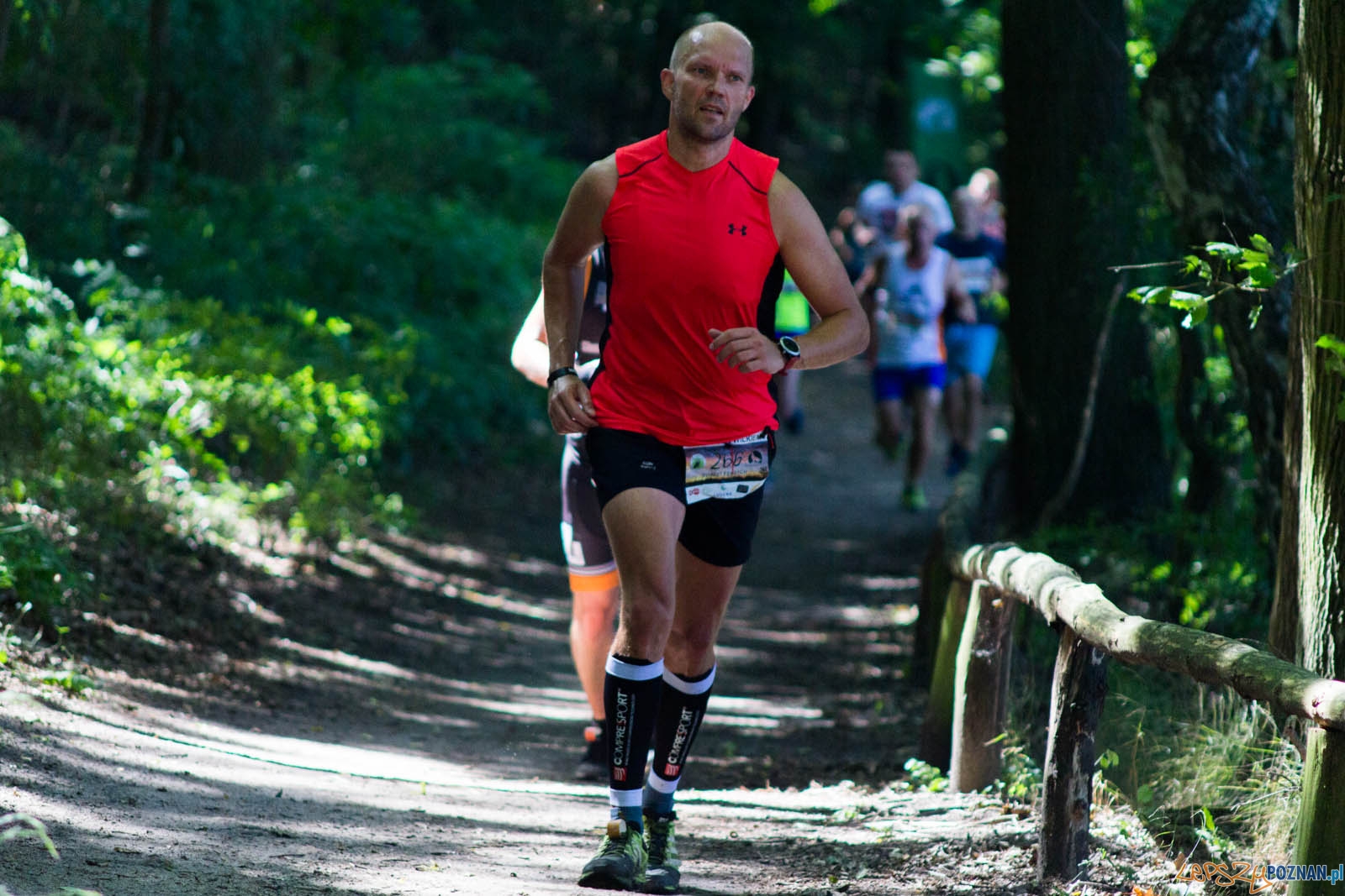 Pogoń za Wilkiem Foto: lepszyPOZNAN.pl / Ewelina Jaśkowiak Pogoń za Wilkiem Foto: lepszyPOZNAN.pl / Ewelina Jaśkowiak