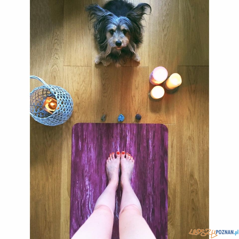 Joanna Maria Hnat - Maya Foto: Joanna Maria Hnat - Maya Foto: