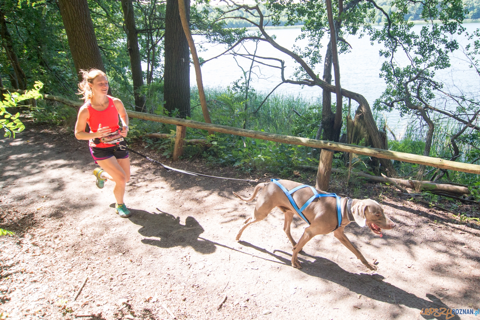 Pogoń za Wilkiem 2017 Foto: lepszyPOZNAN.pl/Piotr Rychter Pogoń za Wilkiem 2017 Foto: lepszyPOZNAN.pl/Piotr Rychter