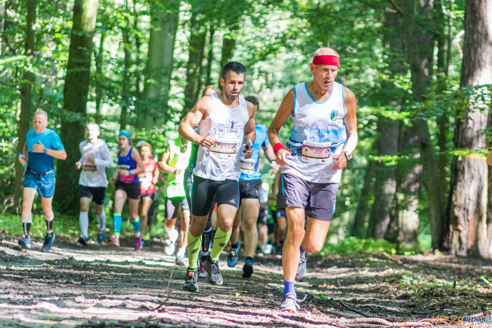 Pogoń za Wilkiem Foto: lepszyPOZNAN.pl / Ewelina Jaśkowiak Pogoń za Wilkiem Foto: lepszyPOZNAN.pl / Ewelina Jaśkowiak