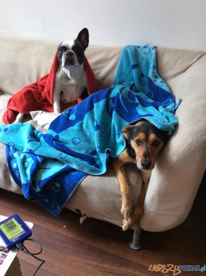 Jakub Przewoźny Foto: Jakub Przewoźny Foto: