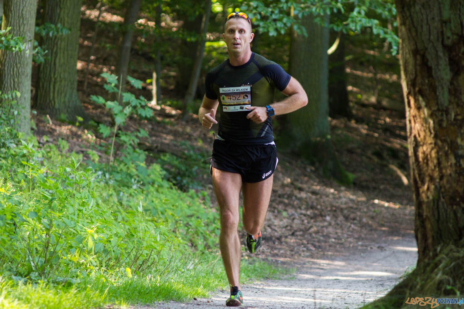 Pogoń za Wilkiem Foto: lepszyPOZNAN.pl / Ewelina Jaśkowiak Pogoń za Wilkiem Foto: lepszyPOZNAN.pl / Ewelina Jaśkowiak