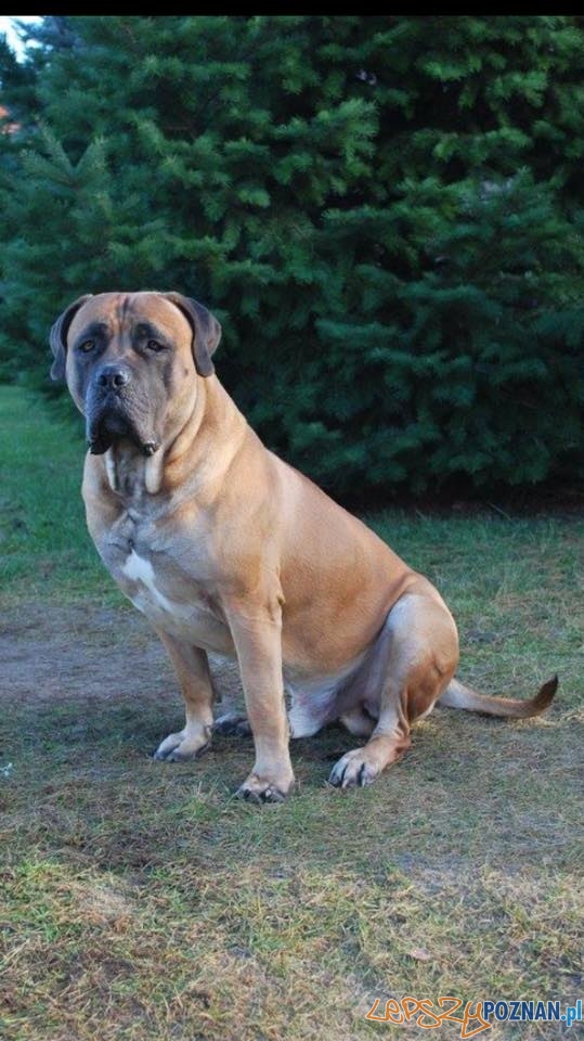 Arkadiusz Słowiński Foto: Arkadiusz Słowiński Foto: