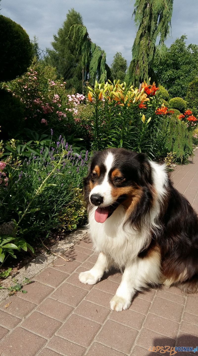 Magdalena Sołtysiak Foto: Magdalena Sołtysiak Foto: