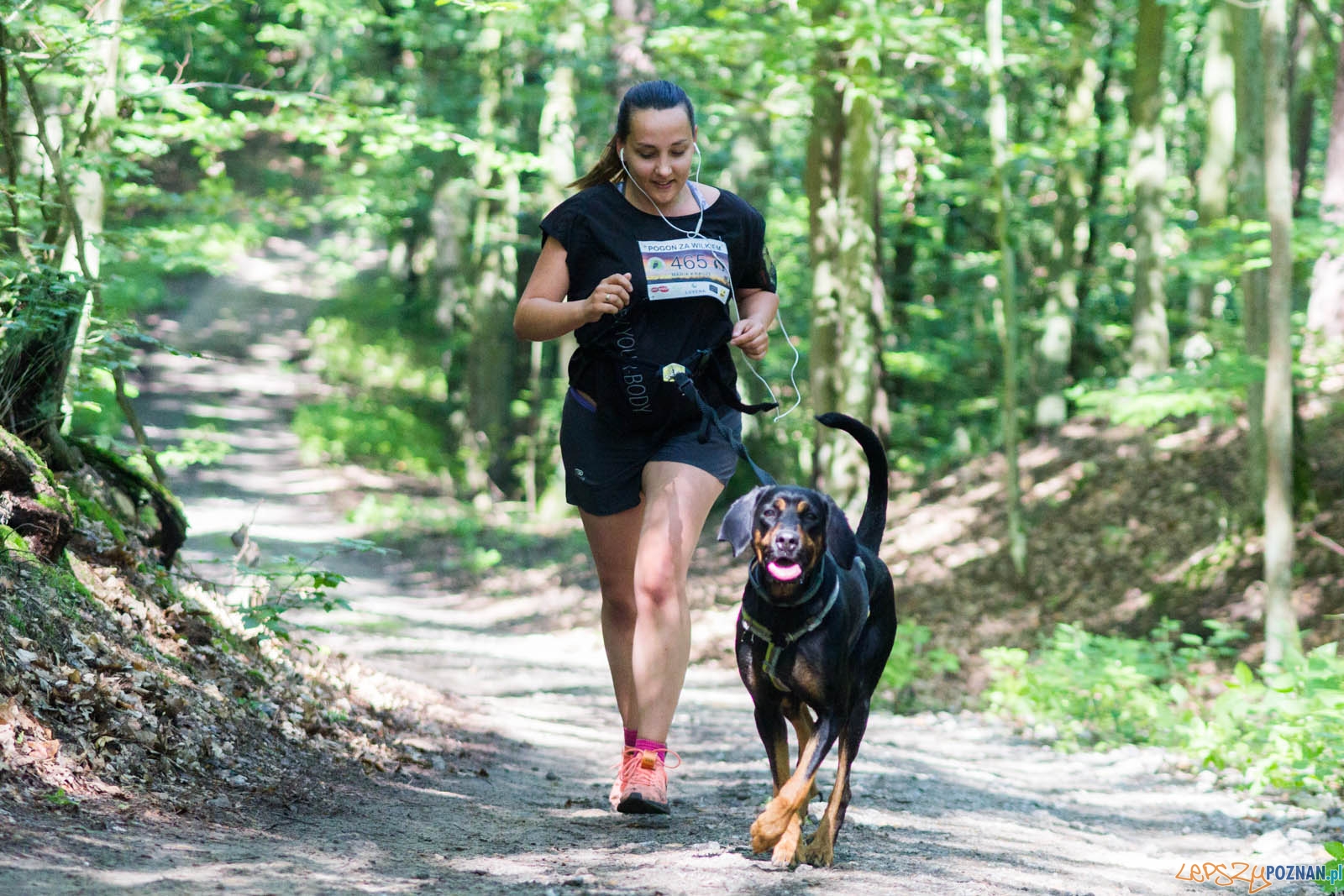 Pogoń za Wilkiem Foto: lepszyPOZNAN.pl / Ewelina Jaśkowiak Pogoń za Wilkiem Foto: lepszyPOZNAN.pl / Ewelina Jaśkowiak