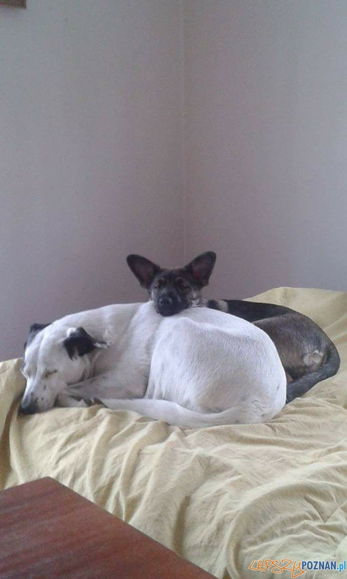 Violetta Szymanska - Kaja i Ida Foto: Violetta Szymanska - Kaja i Ida Foto: