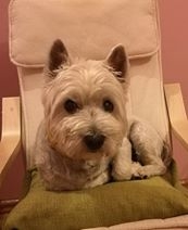 Arleta Furmaniak Fred Foto: Arleta Furmaniak Fred Foto: