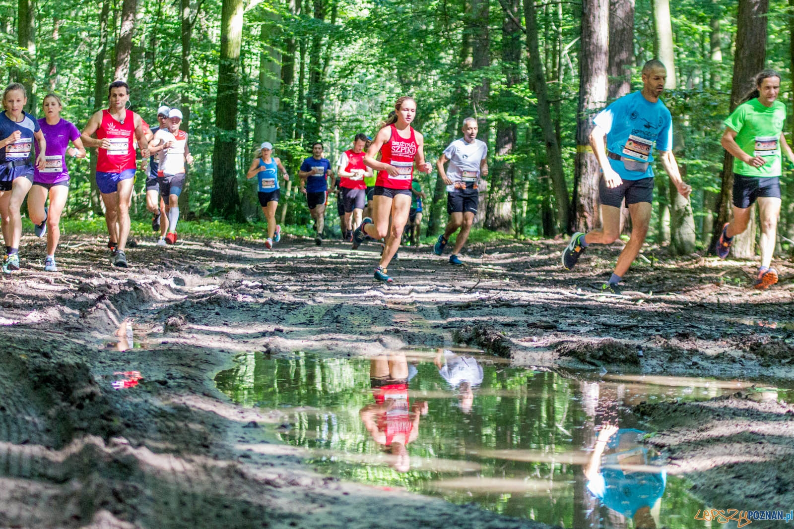 Pogoń za Wilkiem Foto: lepszyPOZNAN.pl / Ewelina Jaśkowiak Pogoń za Wilkiem Foto: lepszyPOZNAN.pl / Ewelina Jaśkowiak
