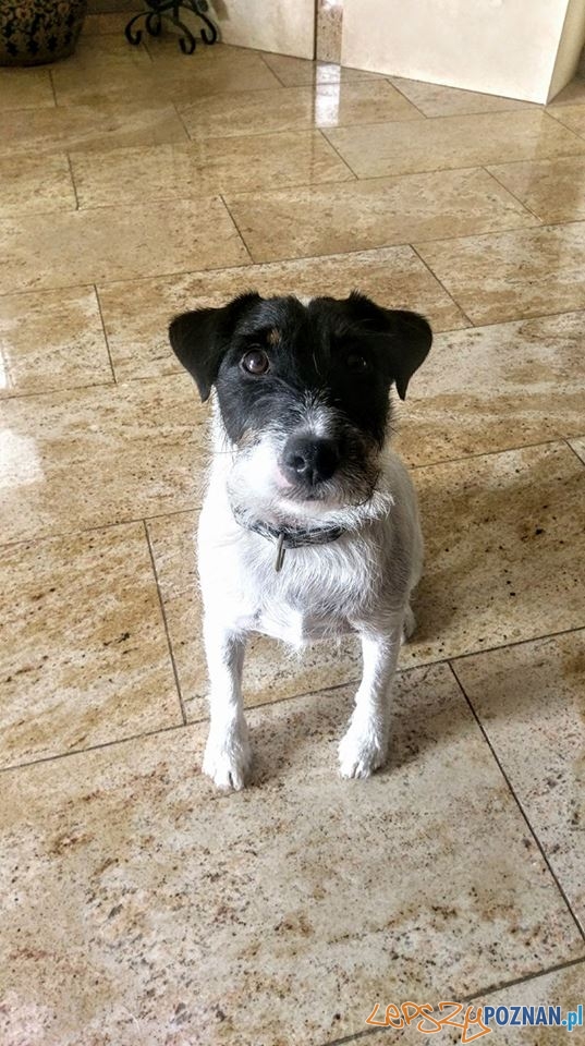 Julia Łach Foto: Julia Łach Foto: