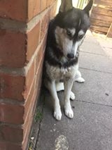 Karolina Majewska Foto: Karolina Majewska Foto: