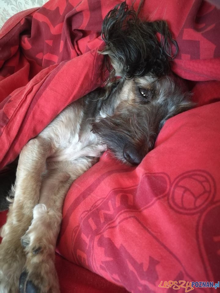 Justyna Ciesielska Maniek Foto: Justyna Ciesielska Maniek Foto: