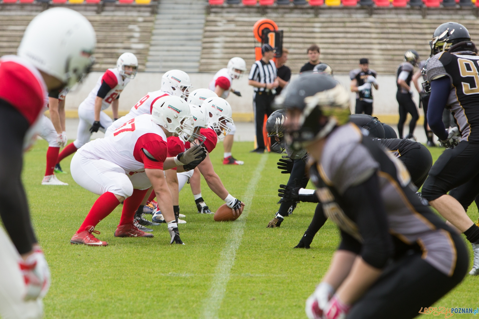 Patrioci Poznań - Seahawks Gdynia Foto: lepszyPOZNAN.pl/Piotr Rychter Patrioci Poznań - Seahawks Gdynia Foto: lepszyPOZNAN.pl/Piotr Rychter
