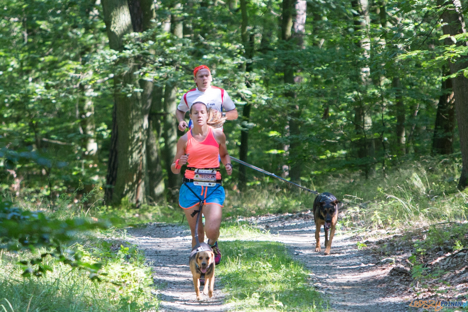 Pogoń za Wilkiem 2017 Foto: lepszyPOZNAN.pl/Piotr Rychter Pogoń za Wilkiem 2017 Foto: lepszyPOZNAN.pl/Piotr Rychter